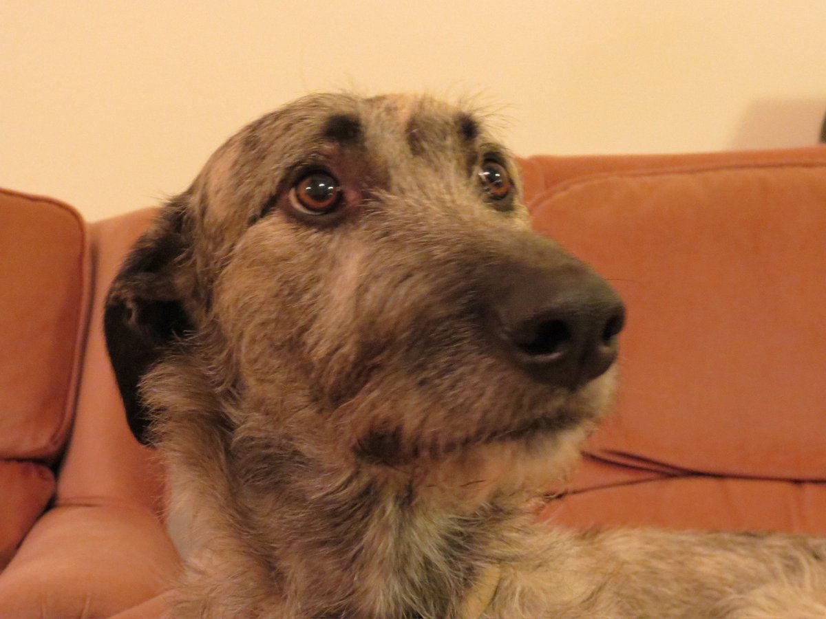 Jamie Anderson tweet media