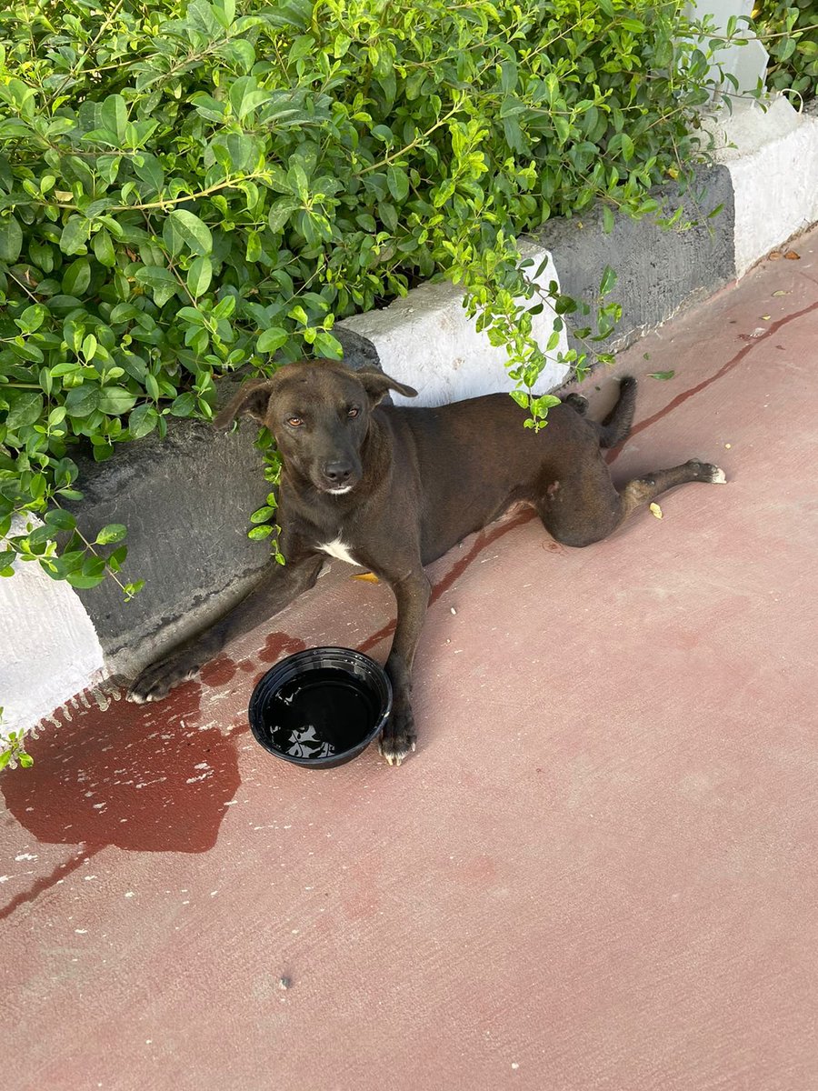 mohit verma tweet media