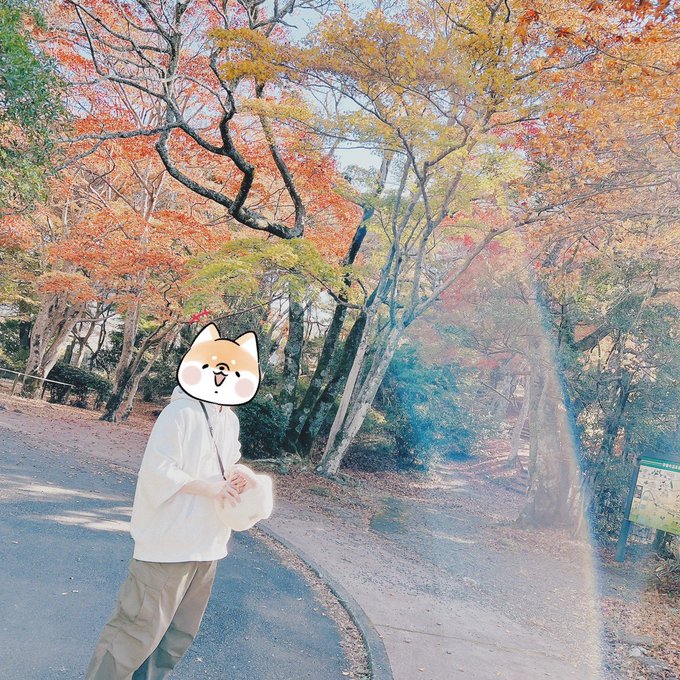 「秋 風景」のTwitter画像/イラスト(新着)｜2ページ目