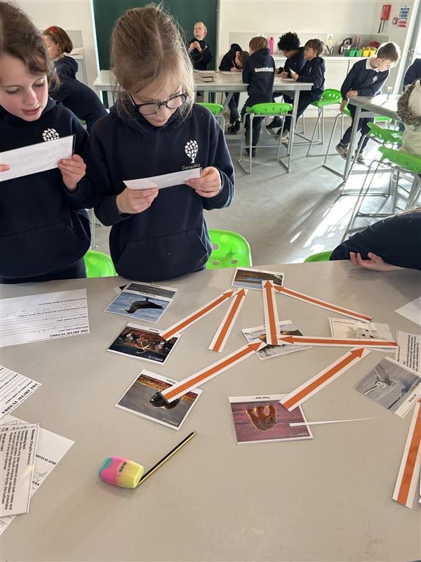 This afternoon, we explored food chains of animals living in different environments around the world 🌎 🦓 🐻‍❄️ 🐧 🦦 Can you guess which environments we were learning about? <a href="/DanesfieldSchl/">Danesfield School</a>