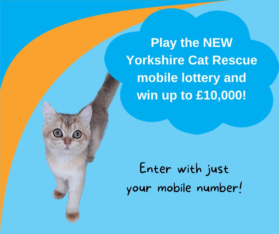 A lottery win just before #Christmas would be amazing wouldn't it? We have a mobile only lottery which takes just minutes to sign up and all you need is your phone. For more info follow the link below.🎄 yorkshirecatrescue.org/mobile-lottery