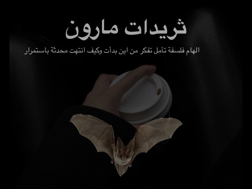 𝐌𝐀𝐑𝐎𝐎𝐍👩🏻‍🎓🦇 tweet media