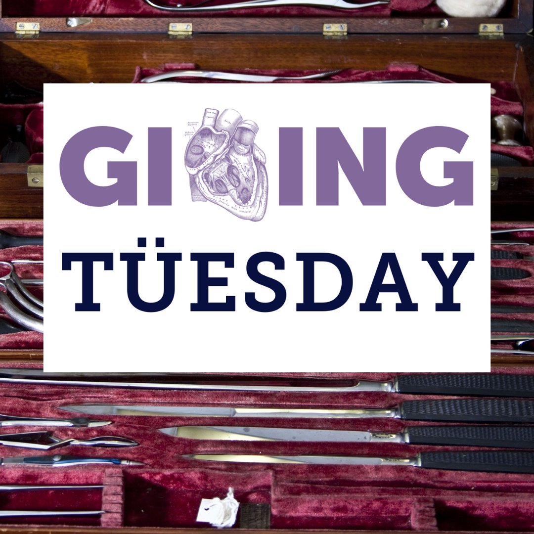 Today is the day! This #GivingTuesday, your donations will be matched, dollar for dollar, up to $10,000, thanks to the generosity of Princeton HR Insight LLC. Donations for conservation, preservation, and digitization are in constant need. Donate today at: loom.ly/aX7r5c4