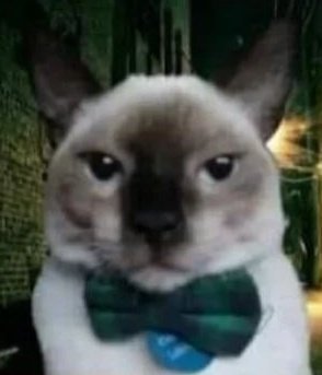 Kissa |-/🇦🇷❤️🔥 tweet media