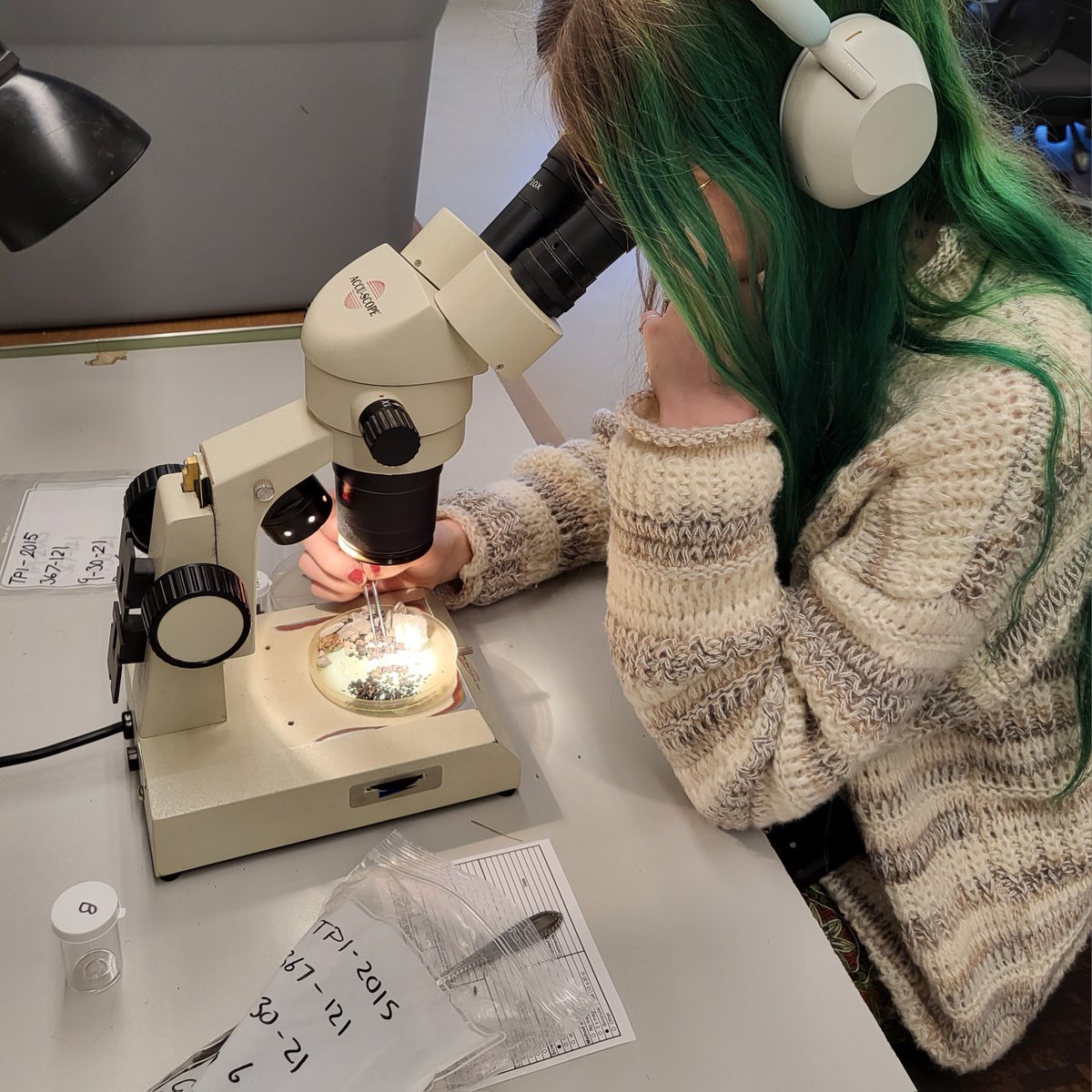 Excavation is done for the year, but there's lots of work to be done in the lab, cleaning and sorting and reassembling fossils. In the cold months, the crew will get through as much as they can to make room for new fossils before we start digging again in the Spring!