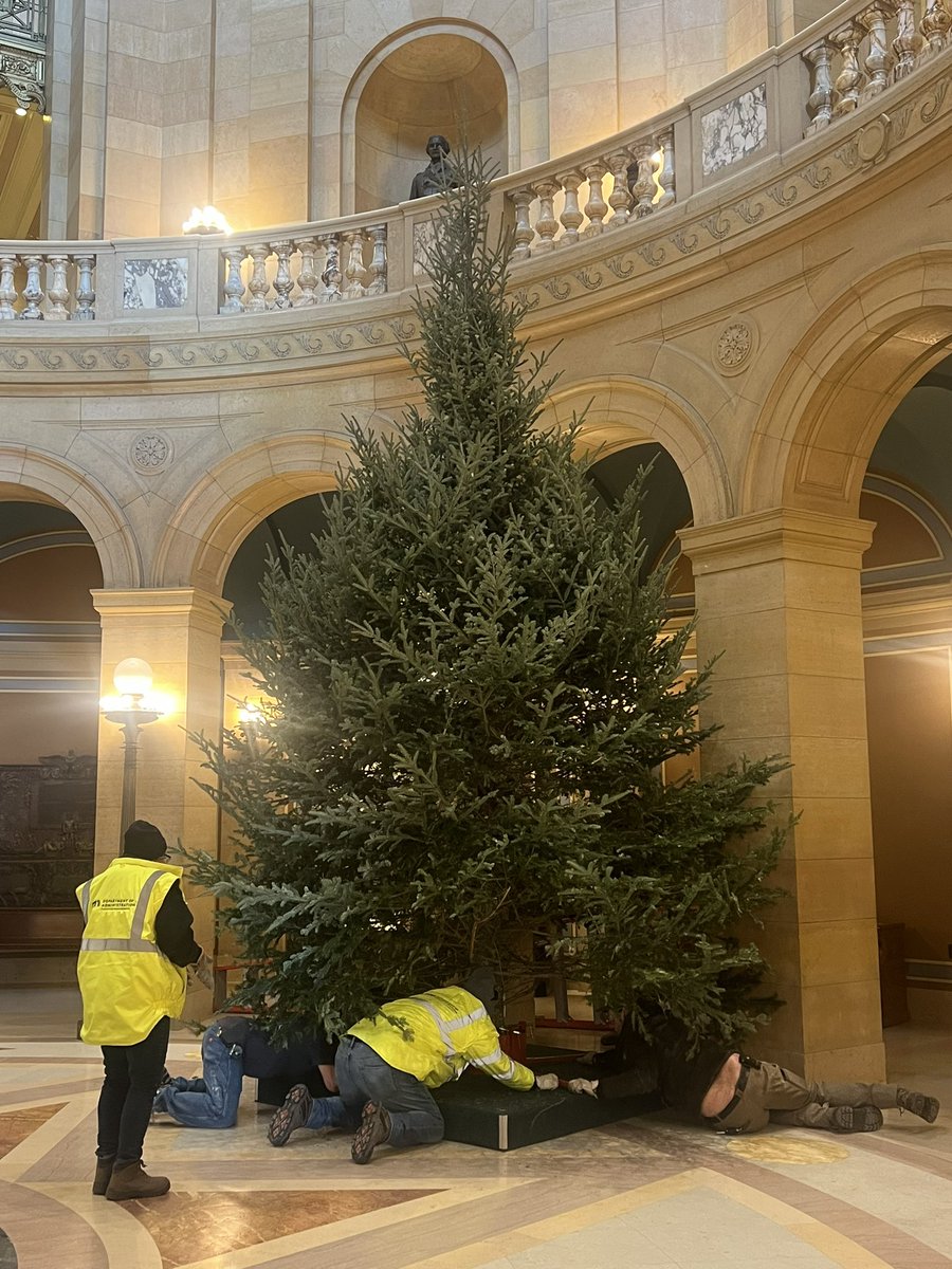 And it’s ready for ornaments