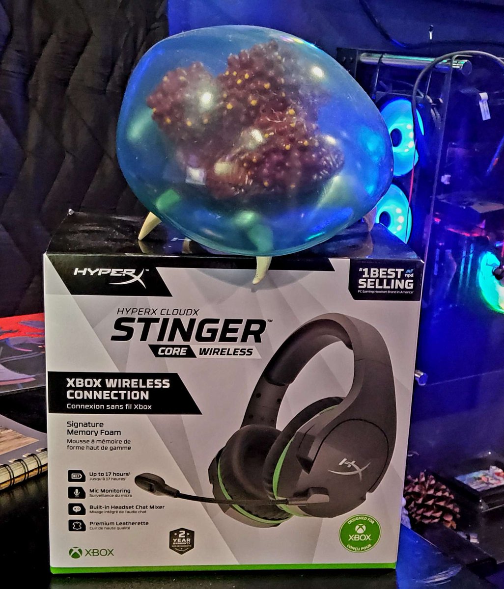 MIXtopher's tweet photo. Our current raffle giveaway as an awesome HyperX Stinger Wireless Headset! When you tip, you get to roll a pair of 20 sided dice and the amount will the tallied to your total! Winner is chosen by a random # generator and who is closest to that #! 😁 https://t.co/zXbJ7b4XTj