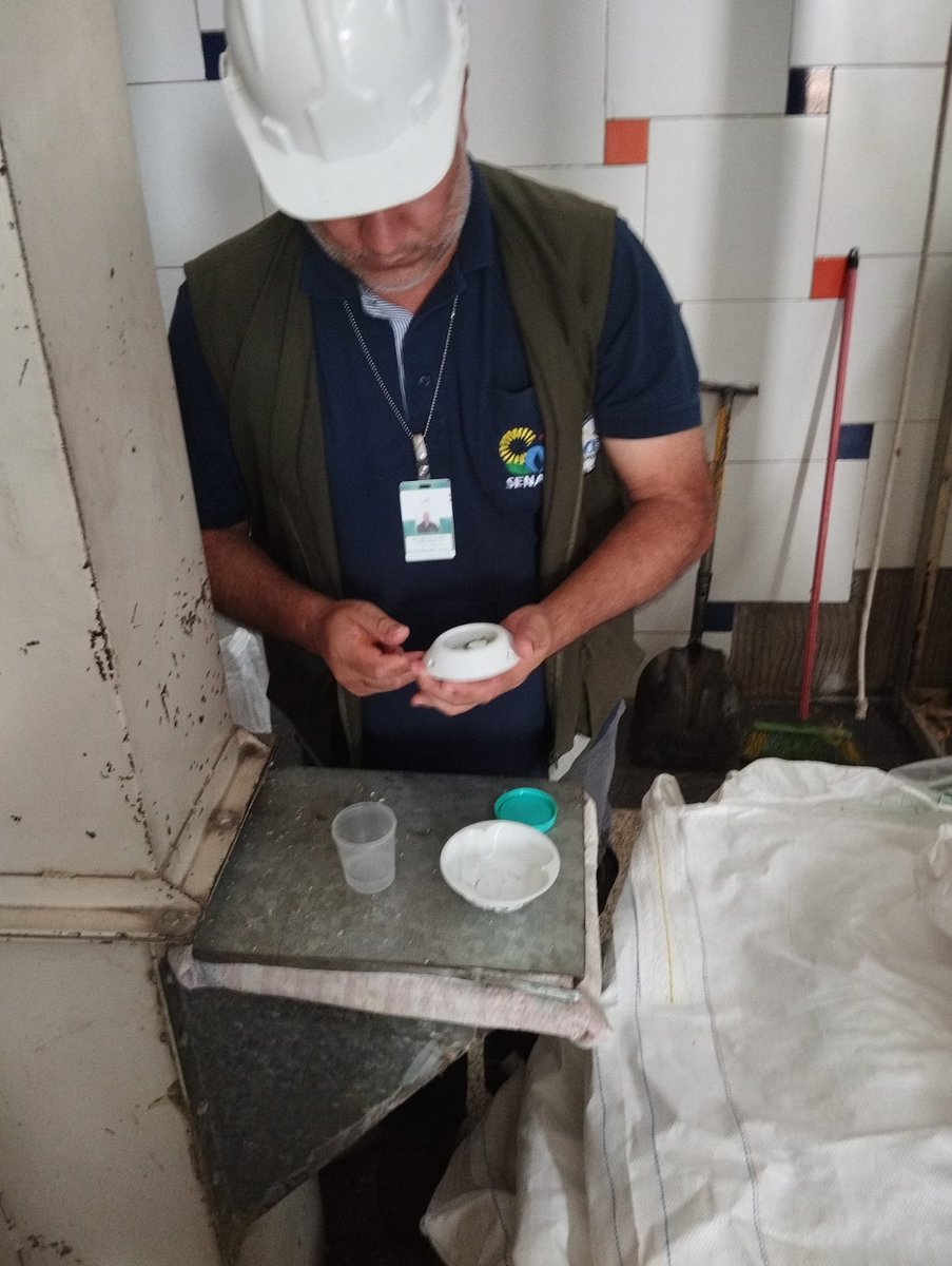 SENAVEParaguay's tweet photo. Se realizó el monitoreo, colecta de insectos y cambio de trampas con énfasis en la plaga de granos almacenados, #Trogoderma granarium, ausente en ���🇾
Las actividades se realizaron en molinos arroceros de los distritos de Fram, Carmen del Paraná y Cnel Bogado, dpto. de #Itapúa https://t.co/YYsPsfi3HR