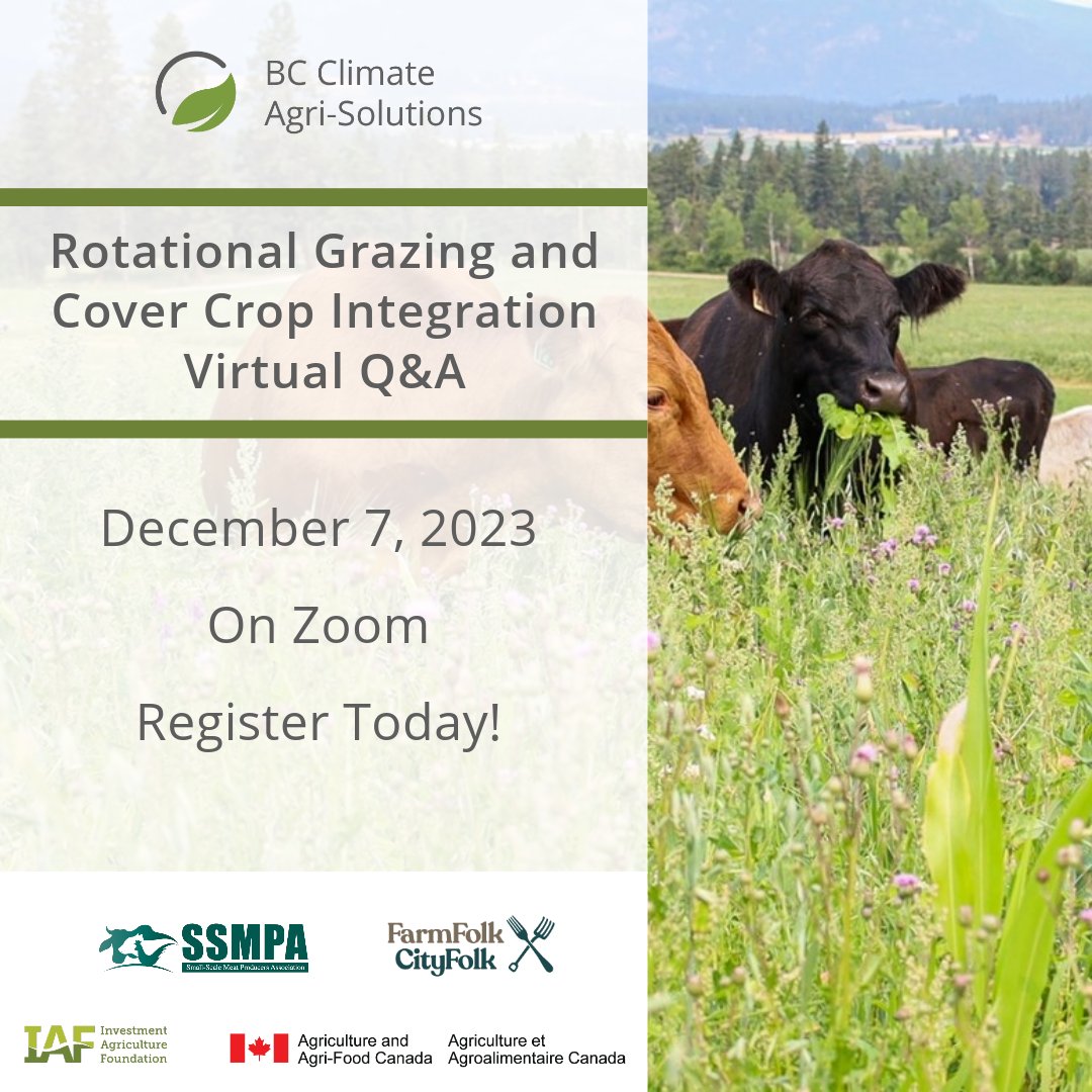 IAF (@iafbc) on Twitter photo Time is running out to register for the Rotational Grazing and Cover Crop Integration Virtual Q&A! 🌱🐄 Attendees will have the opportunity to take a virtual tour of Fresh Valley Farms and participate in the Q&A. 🔗bccaf.ca/event/rotation…
#IAFDelivers #BCAg <a href="/AAFC_Canada/">AAFC Canada</a> <a href="/ffcf/">FarmFolk CityFolk</a> Time is running out to register for the Rotational Grazing and Cover Crop Integration Virtual Q&A! 🌱🐄 Attendees will have the opportunity to take a virtual tour of Fresh Valley Farms and participate in the Q&A. 🔗bccaf.ca/event/rotation…
#IAFDelivers #BCAg <a href="/AAFC_Canada/">AAFC Canada</a> <a href="/ffcf/">FarmFolk CityFolk</a>