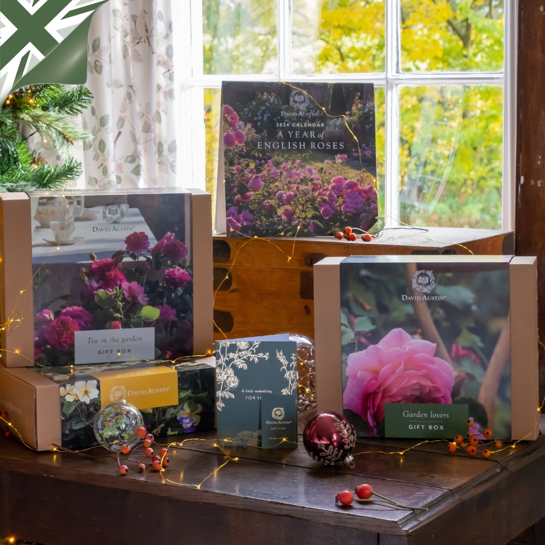 Spoil that special someone in your life this Christmas with our amazing selection of gifts. 🎀 Choose from our latest range of gift boxes that include a rose voucher, quality gardening tools, a beautiful wall calendar and more. Shop gift collection ➡️ bit.ly/3SPxvHo