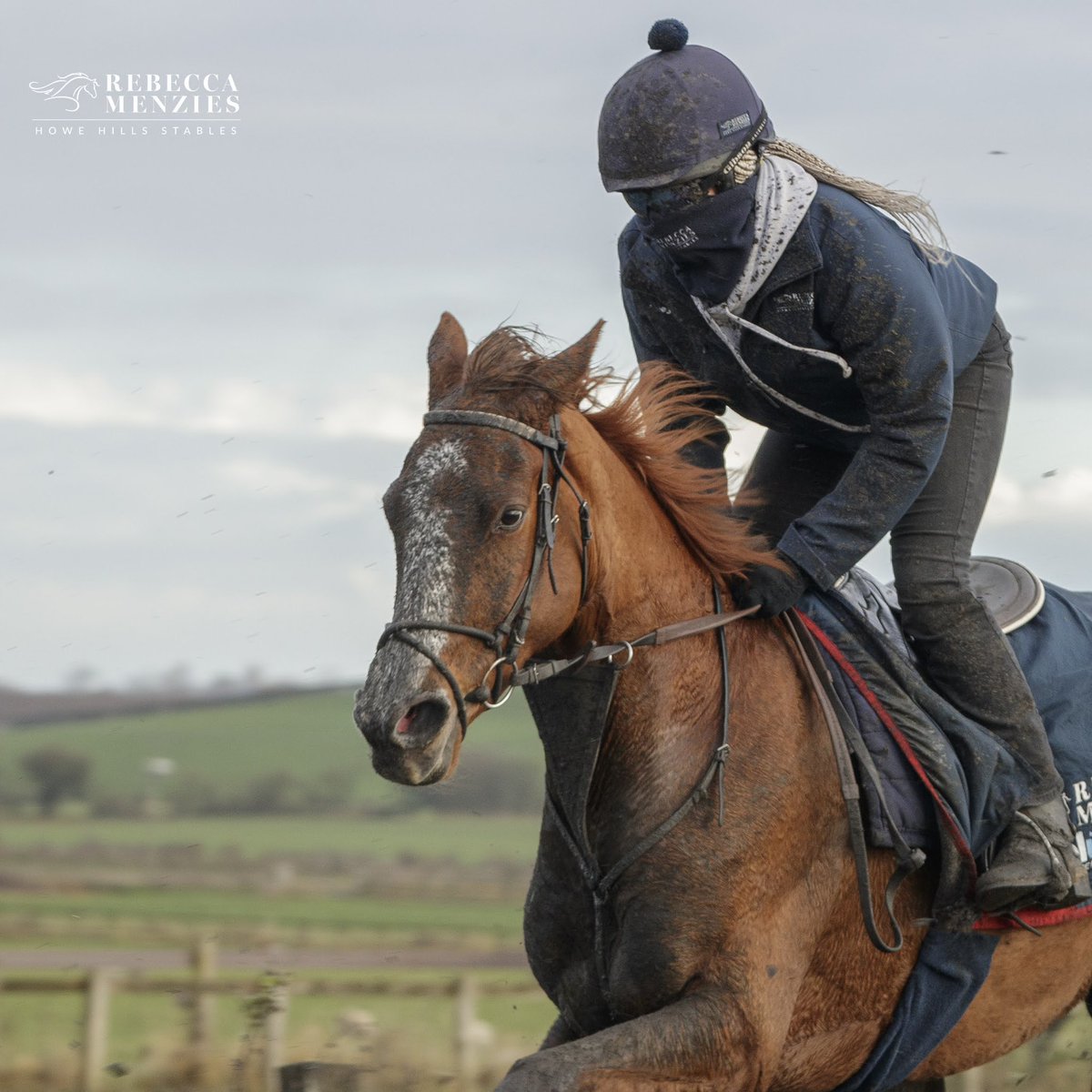 RebeccaEMenzies's tweet photo. Some dirty faces today, some people would pay a fortune for out face packs #dirtyfaces #facepack #racehorse #horse #stablelife #jockey https://t.co/Q4FuFspvaB