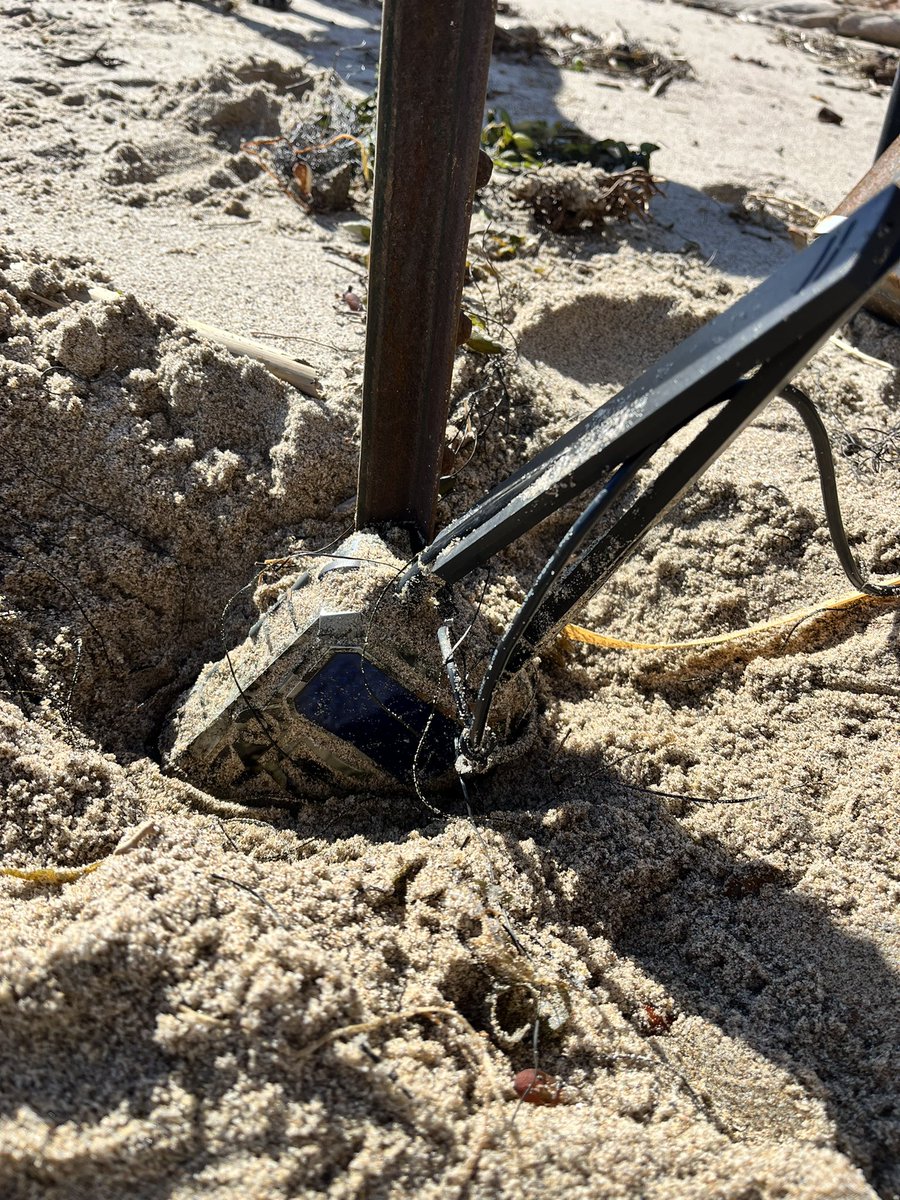 project_ecotone tweet media