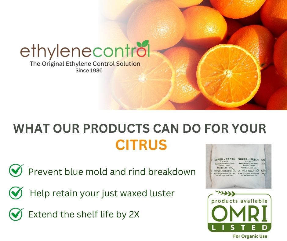 EthyleneControl's tweet image. Let us help with your citrus needs. Post harvest, holding, shipping.
#freshproduce #produce #omri #omrilisted #organic #ecofriendly #green #freshvegetables #freshfruit #foodsafety #reducewaste #nowaste #qualityprotection #qualityproduce #shelflife #keepitfresh #protectyourproduce