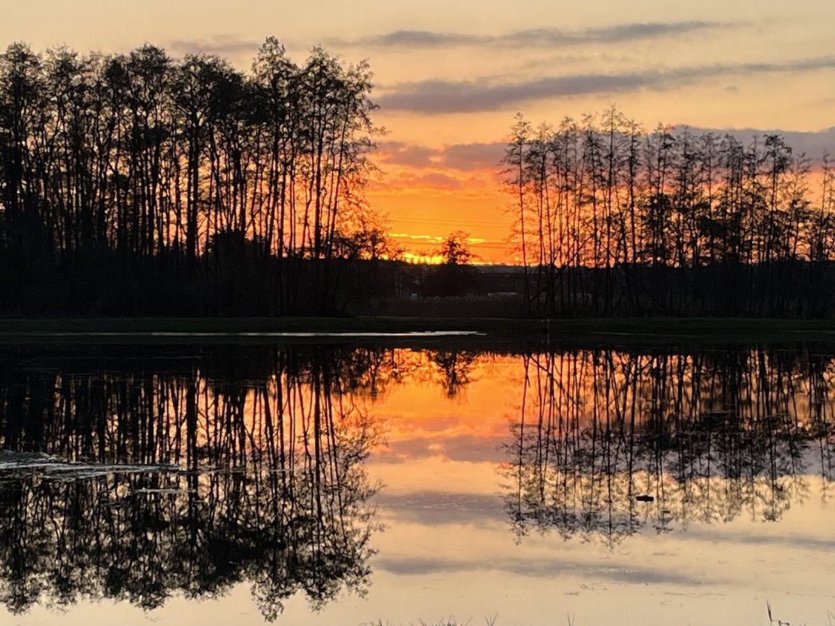 Jacqueline tweet media