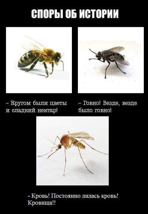 Споры.