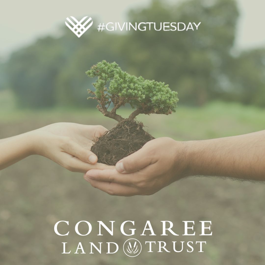 You have an opportunity to make a lasting difference this #GivingTuesday! Join us in planting the seed for the next generation and protecting this land we love forever! 

Here at CLT it's about #morethanacres!

Donate Today! 
congareelt.app.neoncrm.com/np/clients/con…