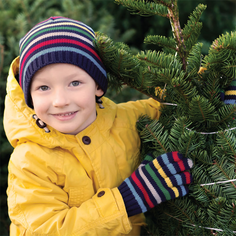 The Local Wishlist tweet media