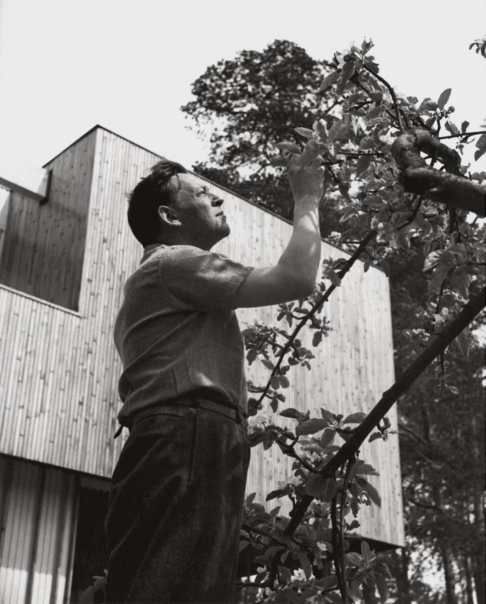 Rice Cinema tweet media