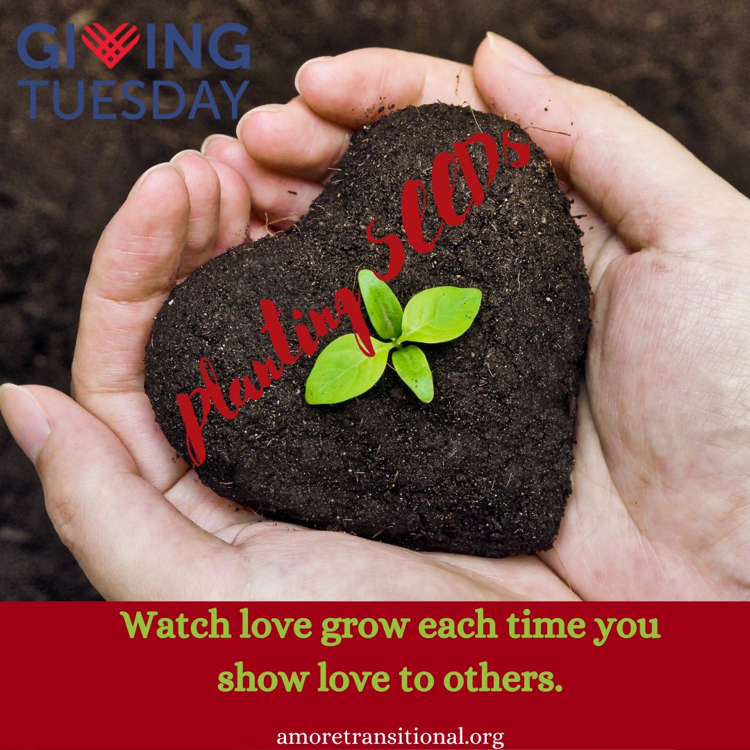 AmoreATGInc's tweet photo. It`s #GivingTuesday!  

PLANTING SEEDs... "If you can reach them, you can teach them."

Visit link to contribute today and support our Amore Transitional Group SEEDs Program:  https://t.co/7wEdFU6065  

#ATG #seeds #fostercare #emancipated #nonprofit #support #givingtuesday2023 https://t.co/klKinbCbQL
