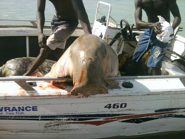 Don't you worry about that.🇦🇺 tweet media