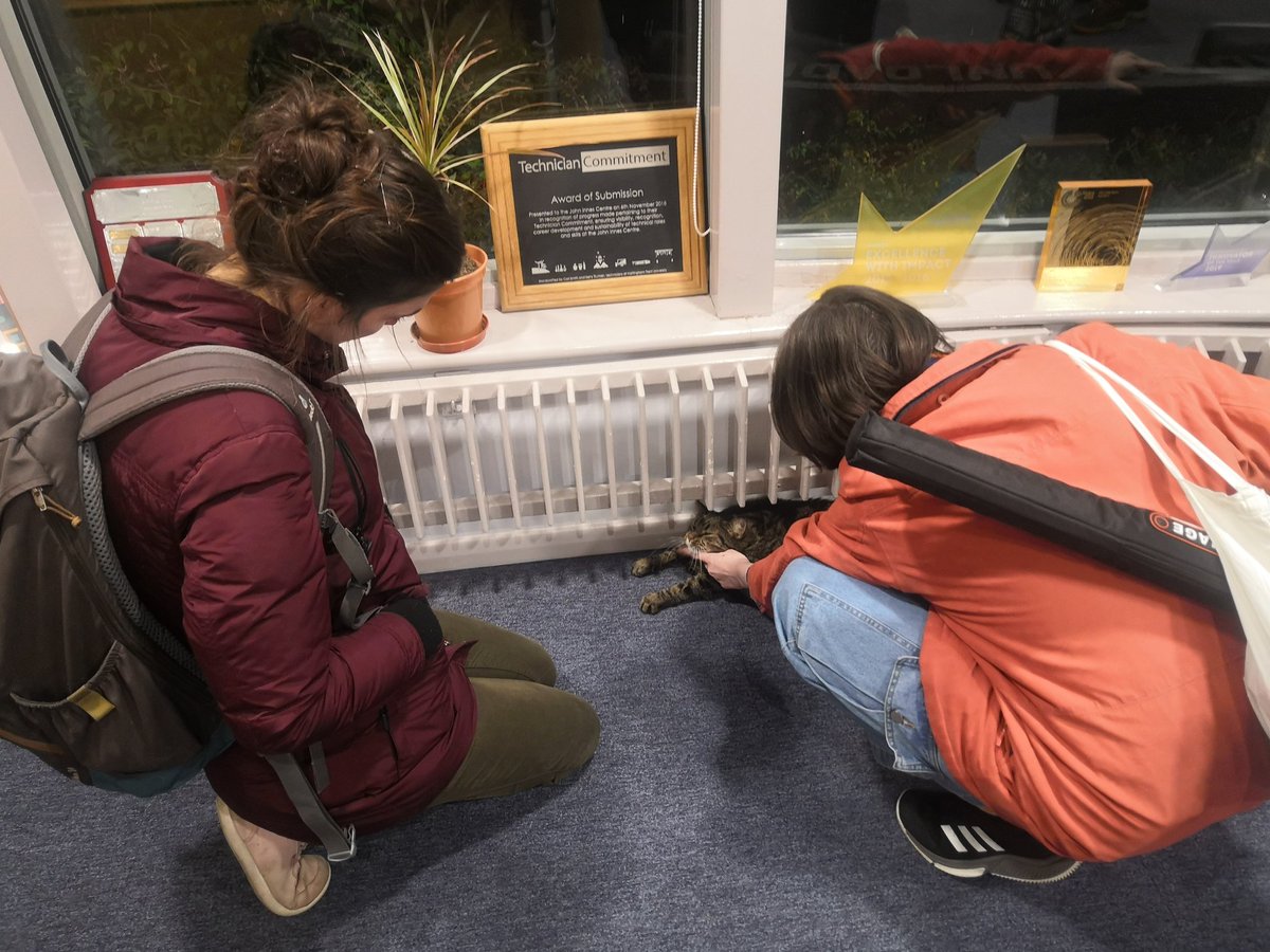 samtmugford's tweet photo. @Zoologist_Jess @sparrow_penny @GSeddonRoberts @Ben_garrod @JohnInnesCentre Also Rexy the @JohnInnesCentre Science cat was delighted to get the attention of some zoologists https://t.co/kSPrvT3CEg