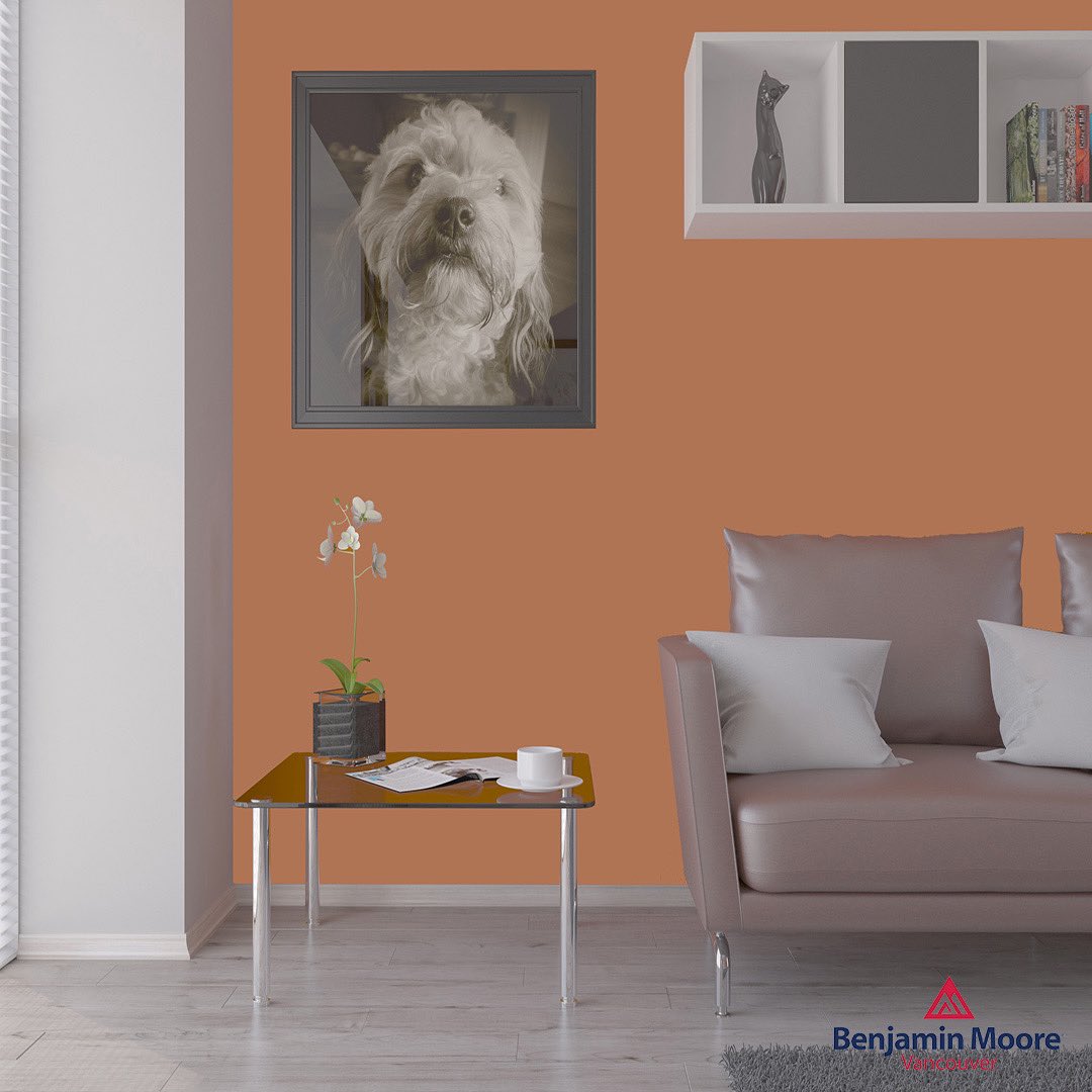 Warm colours 

Reds, oranges, and yellows are typically seen as more intimate and cozier. Notice how the walls in Terra Mauve 105 are more pronounced in this modern room. 

Walls: Terra Mauve 105 

#benjaminmoore #paint #benjaminmoorepaint #vancouver #aura #interior #colour