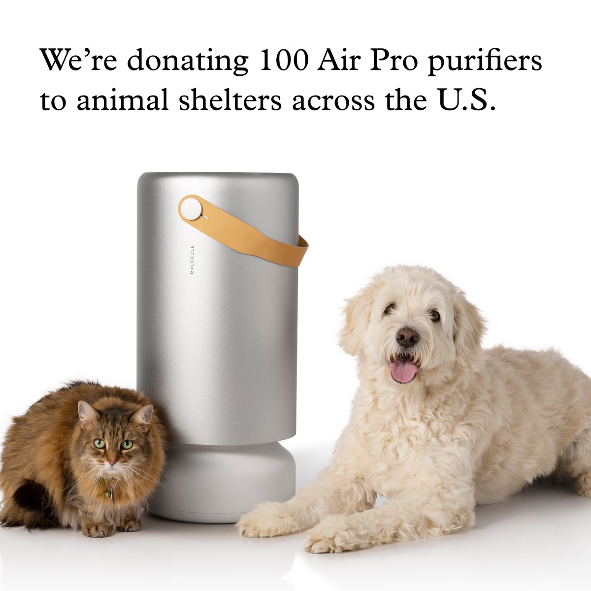 🐩🐈‍⬛🐇🦔 Animals deserve clean air too! That’s why we’re teaming up with Best Friends Animal Society to donate $100,000 worth of Air Pro purifiers to animal shelters across the country.