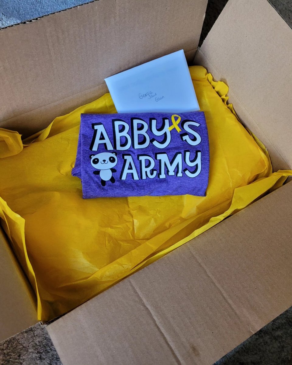 AbbysArmyNC's tweet photo. Cheering on our girl, Georgia - a 2 yr old girl fighting Pre B Cell Acute Lymphoblastic Leukemia (ALL). A fun-filled care package sent out to her and her older brother, Gavin, to help bring some laughs and smiles.💜
#noonefightsalone🎗 
#bethegoodintheworld https://t.co/NOR5IJ7zz7