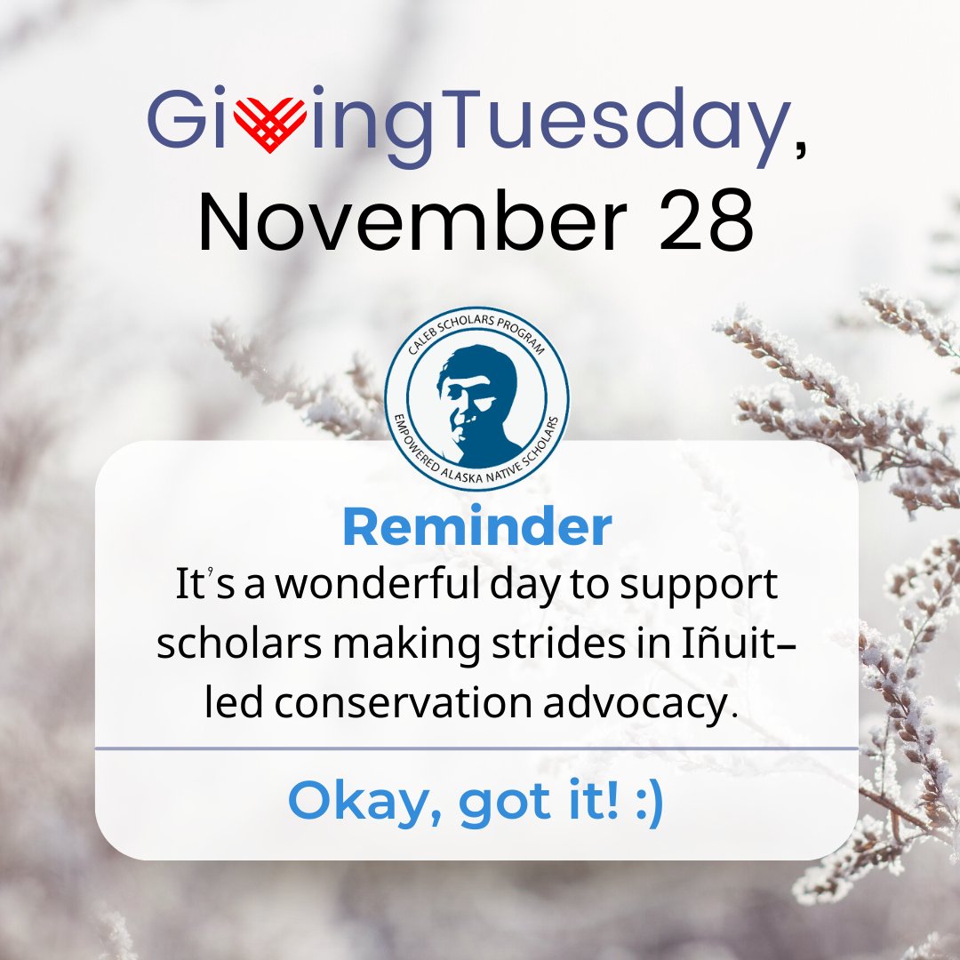 Happy GivingTuesday! Please consider supporting the Caleb Scholars Program. Every donation makes a difference! Donate here (link in bio): calebscholars.org/support-calebs… Quyanaqpak for your time and consideration! #givingtuesday #inuitledconservationadvocacy