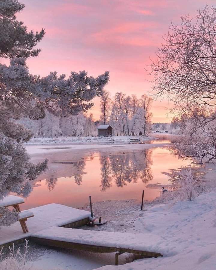 TLeoni311's tweet photo. Good evening 💫 ❄️ https://t.co/EOL2bPK9ml