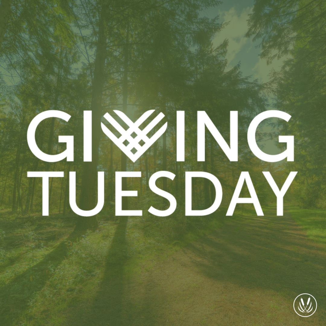 It's Giving Tuesday! ⁠
⁠
Giving is not just about making a donation. Help us make a difference this giving season, by giving a gift that will last forever!⁠
⁠
Donate today through the link below!

congareelt.app.neoncrm.com/np/clients/con…