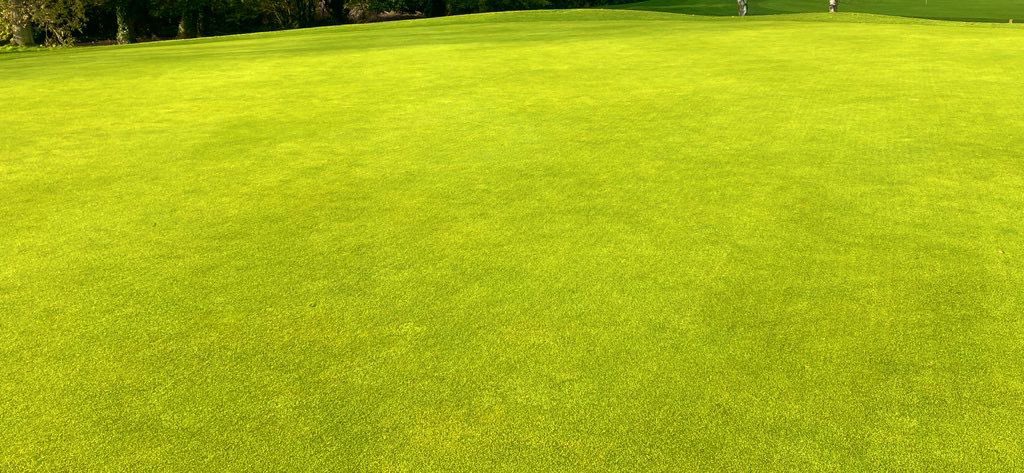 WarrenpointGolfClub tweet media