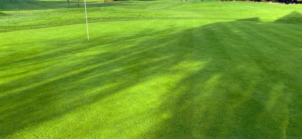 WarrenpointGolfClub tweet media