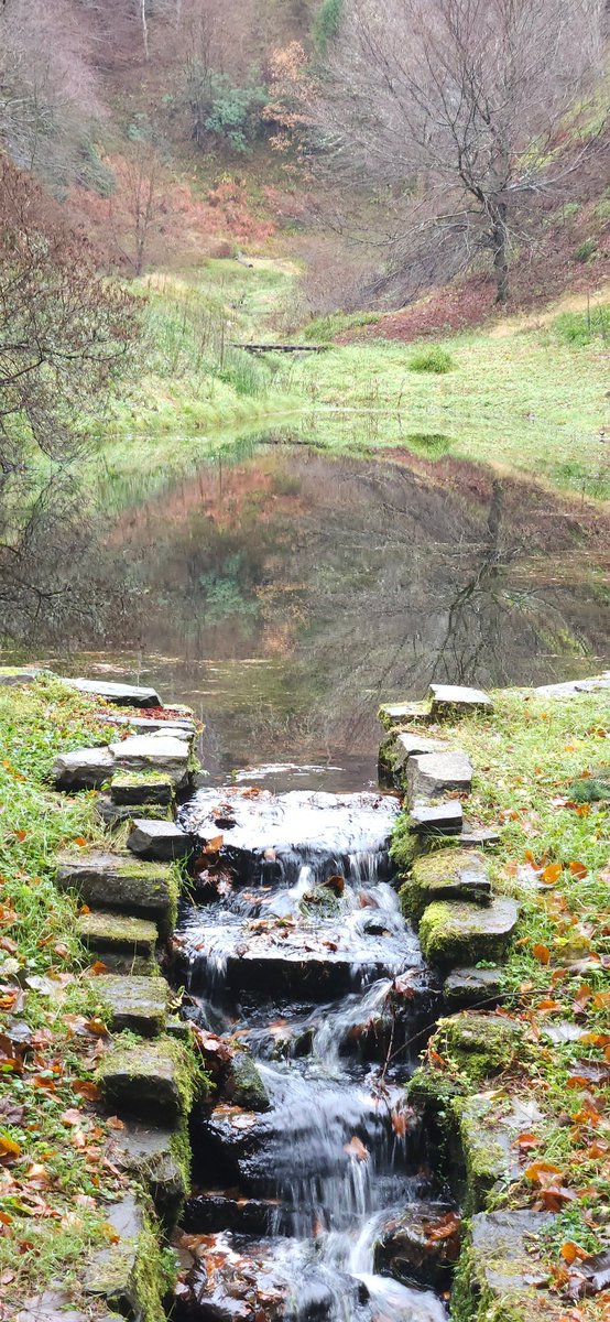 KarenHewitt11's tweet photo. Wonder off the beaten track round Dunphail Catle and the River Divie #localarea #dunphail #riverdivie #Moray https://t.co/cwwisulCe7