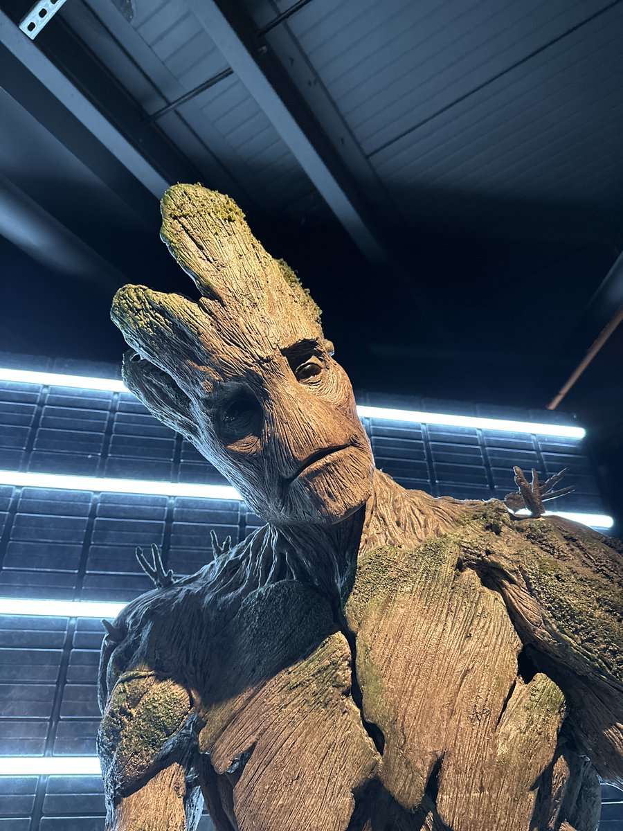 'I am Groot' -Groot