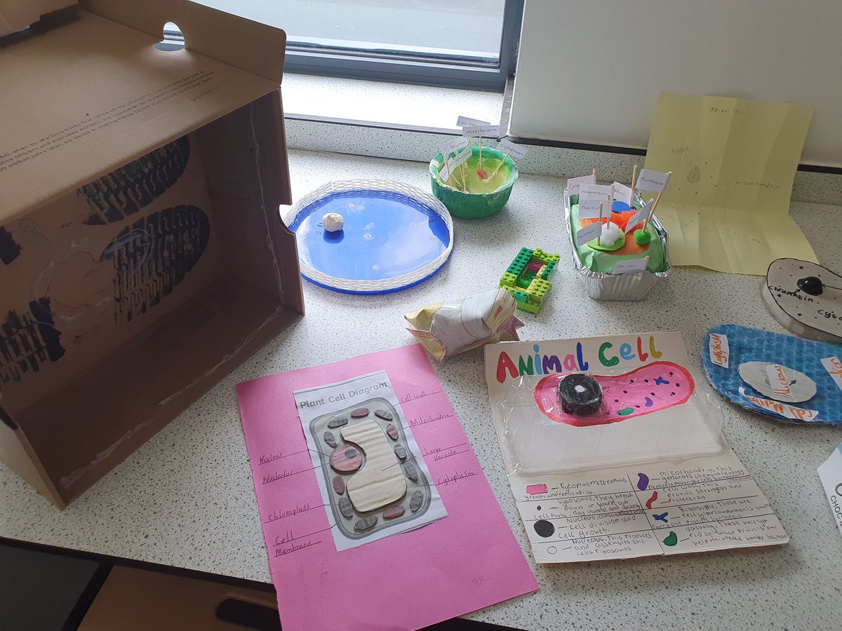 Da iawn 7S2 for their cells models homework 🧬! #Teamtaf <a href="/AfontafHigh/">Afon Tâf High School</a>