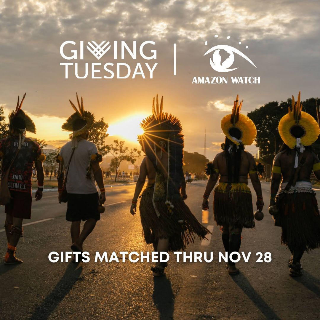 Amazon Watch tweet media