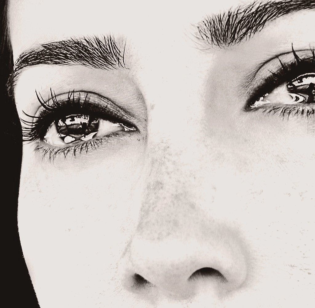 CastleDM tweet media