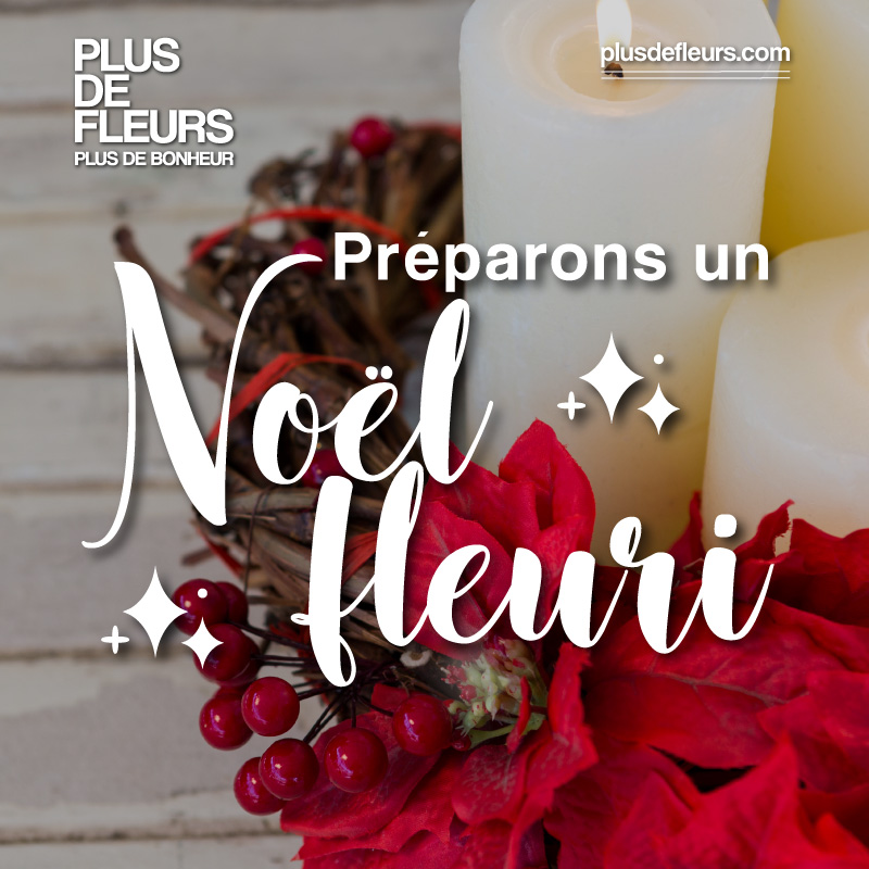 plusdefleurs's tweet photo. Ouverture du catalogue de Noël ! https://t.co/rtNLyuG5qP https://t.co/VZiHnQ0pLQ