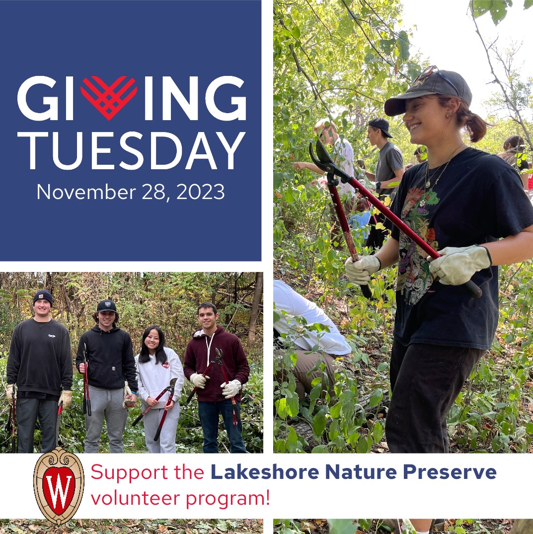 In celebration of #GivingTuesday we hope to raise $700 to fix and replace tools for our volunteer program. Each year over 500 volunteers, mostly UW students, give their time and energy to care for the Lakeshore Nature Preserve. To help, visit supportuw.org/giveto/lakesho…