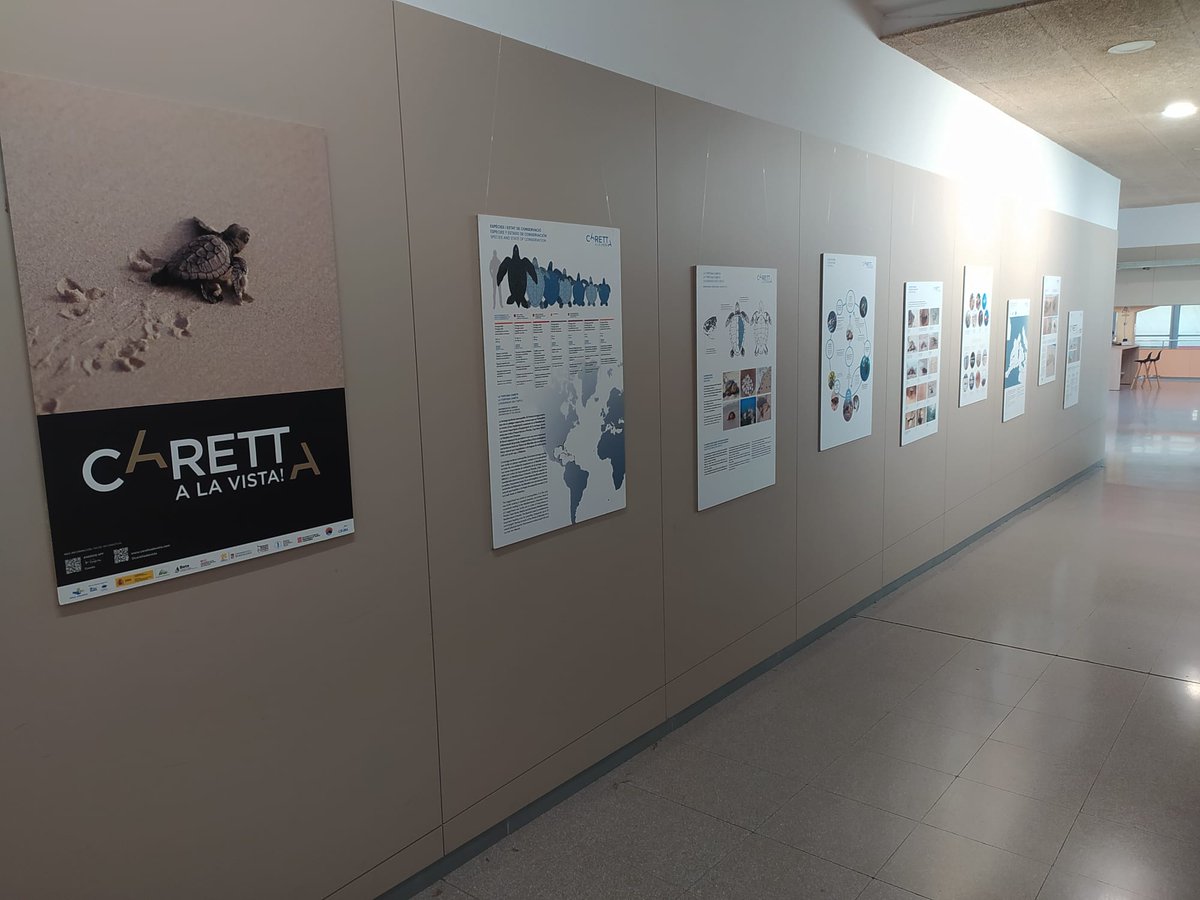 ➡️ Aquests últims dies hem portat els nostres 2⃣ projectes de #CiènciaCiutadana a l'<a href="/InstitutdeVic/">Institut de Vic</a>, per treballar amb l'alumnat sobre la problemàtica de plàstic als rius i de la gestió de les nidificacions de tortuga marina a les nostres platges. 🐢🔬🌊

Moltes gràcies per tot!