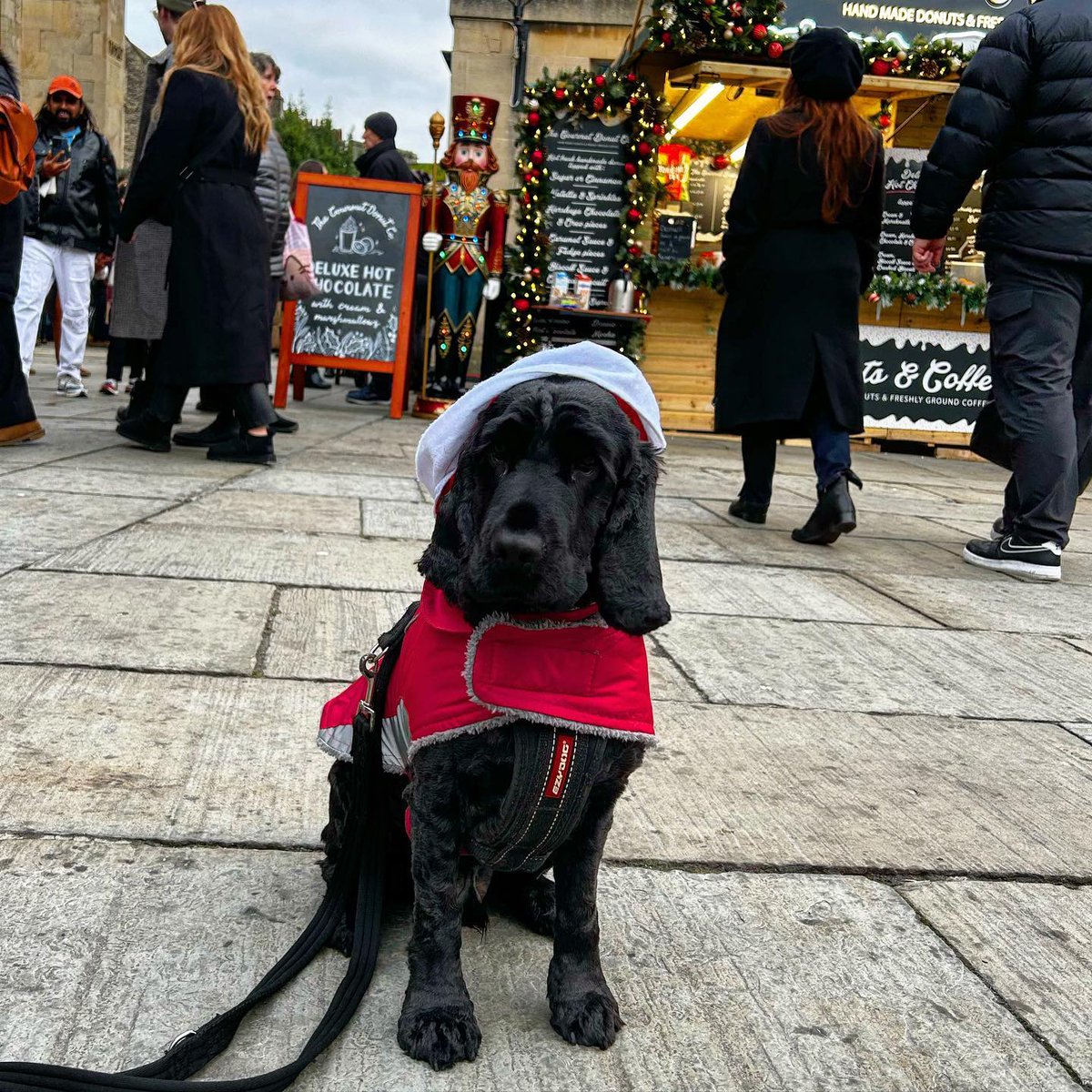 We love seeing so many good boys and girls around the market. However, we are expecting the next few weekends to be extremely busy so we would strongly advise leaving dogs at home if you can, or bring them along in the mid-week when it tends to be a bit quieter.