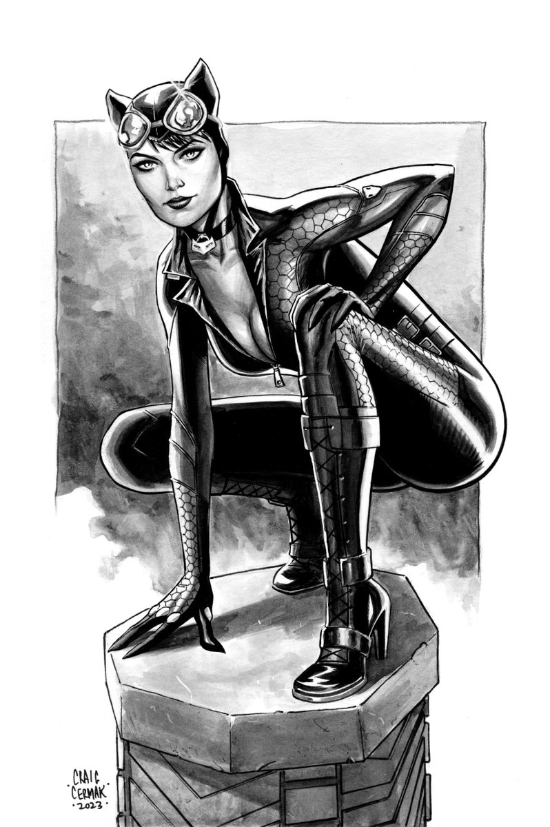 Catwoman - One of the Arkham game costumes.