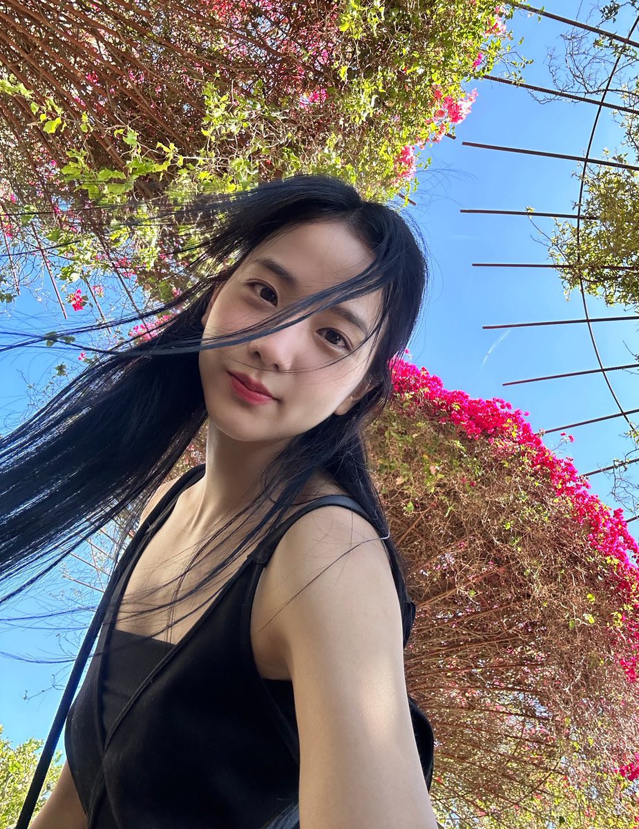 jisoosjpg's tweet photo. ☁️ https://t.co/Nbh2DMgycV