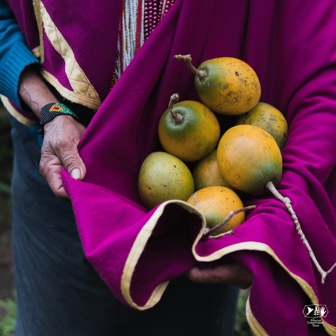 Today is #GivingTuesday! 🎁🌱 Our goal is to raise $25,000 by the end of the day to bolster our fight to protect the Amazon together with #indigenouswomen. 🌻🔗 Give a gift today: bit.ly/40WKqct