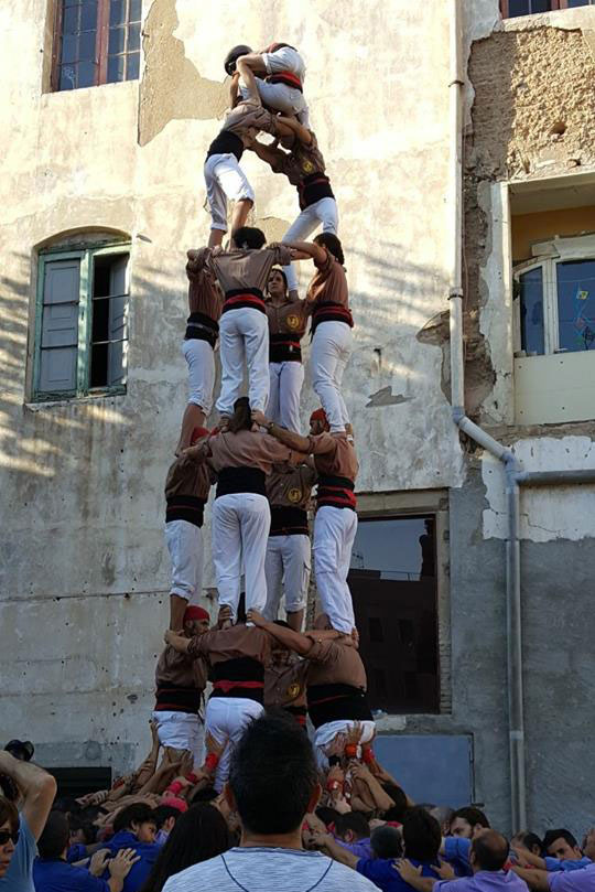 revistacastells's tweet photo. 32 colles han estrenat els 7 pisos al llarg del segle XXI.
▶️ Ho repassem aquí:
👉 https://t.co/yX8dDSqi05
#castellers #castells https://t.co/HSzcu9t3fX
