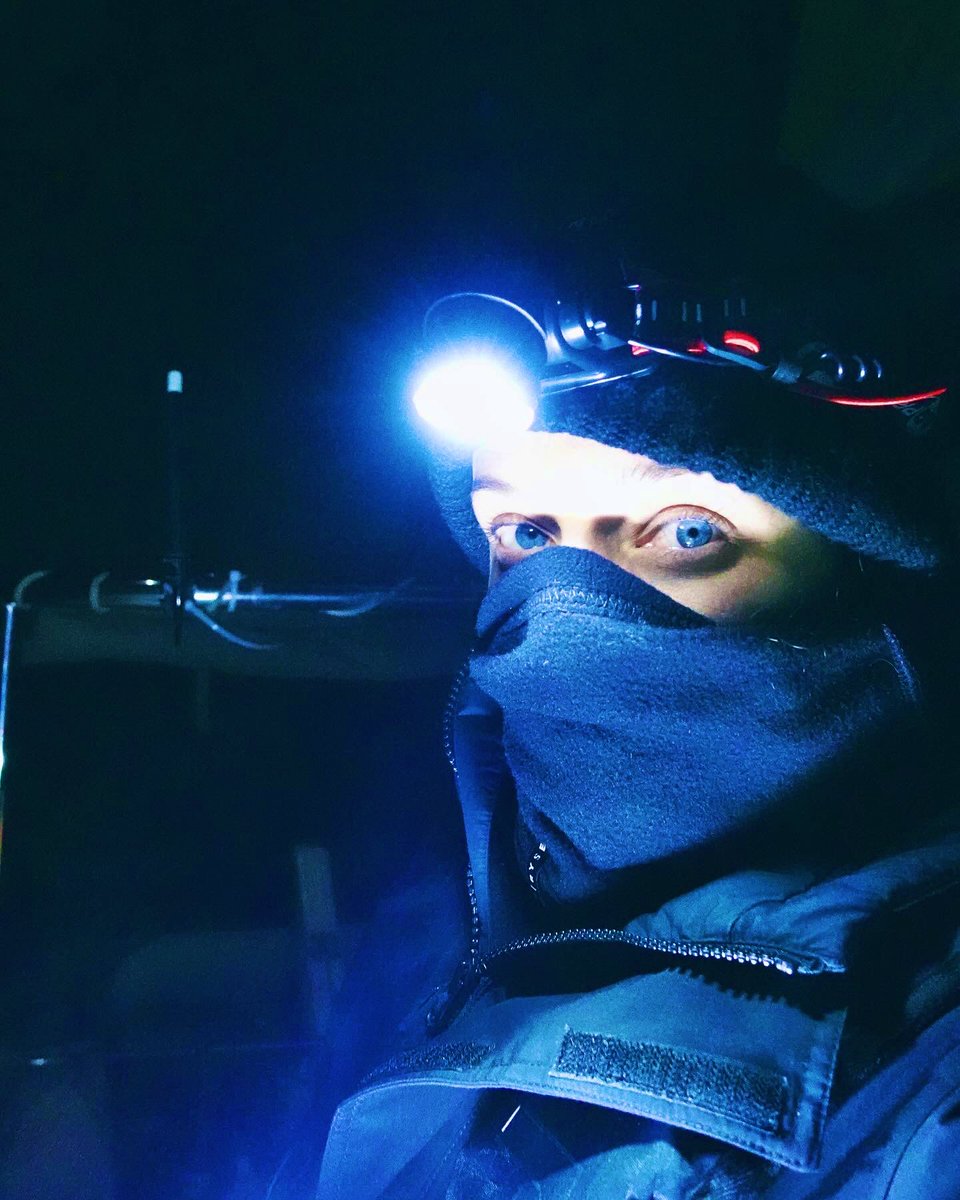 Marie Treibert tweet media