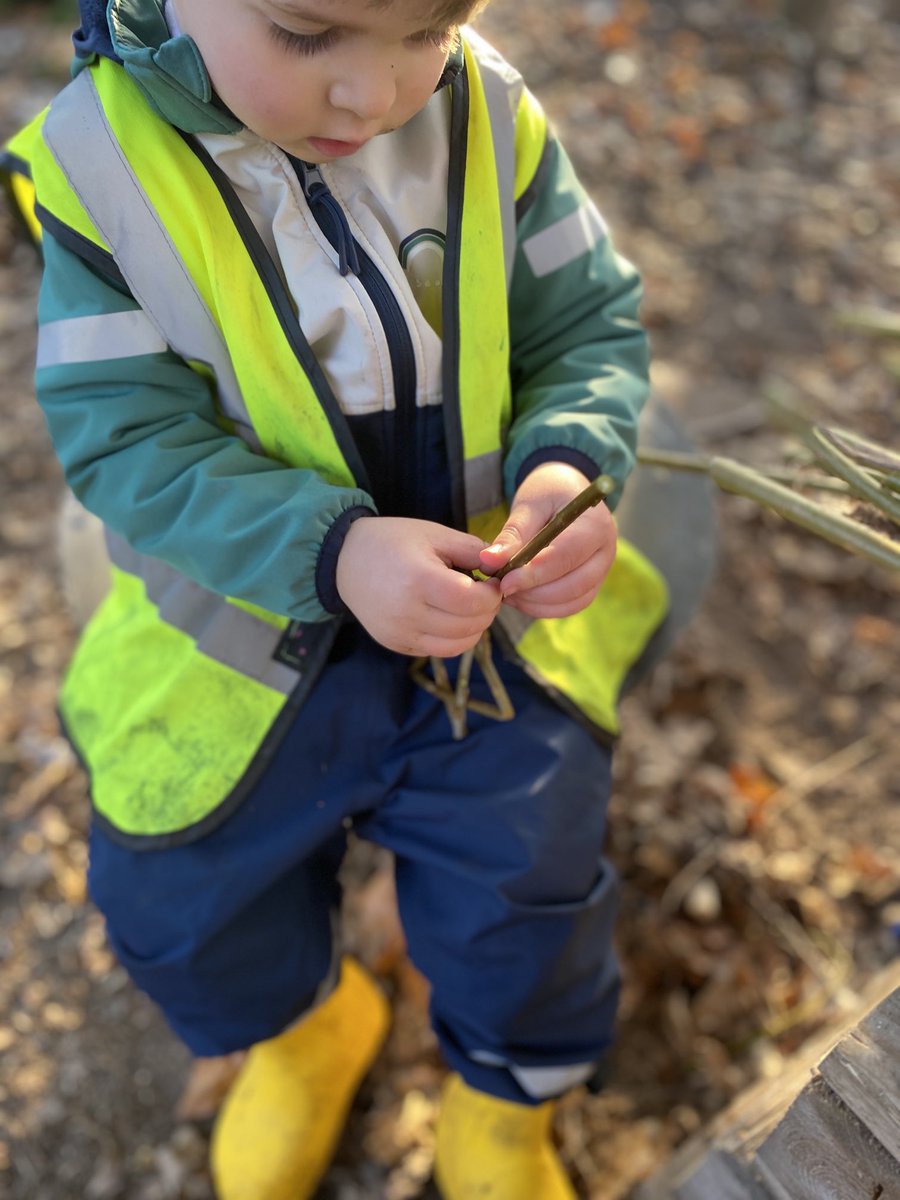 ND_ForestSchool's tweet photo. Wise Owls made some super star wands out of willow, and learnt about the roots of a tree by observing a silver birch that had fallen. #starwands #willowweaving #learningaboutnature ⭐️⭐️⭐️⭐️⭐️⭐️⭐️⭐️ https://t.co/1LR0EqC1oR