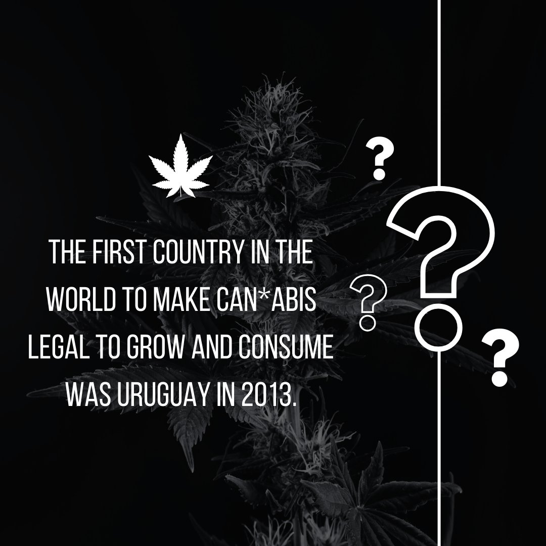 HighPeaks46's tweet photo. Uruguay led the green wave, making cannabis legal to grow and consume since 2013! 🌿🇺🇾 A pioneer in embracing the plant's potential. #UruguayGreen #CannabisFirst #HighPeaks https://t.co/bvw9BWG0GY