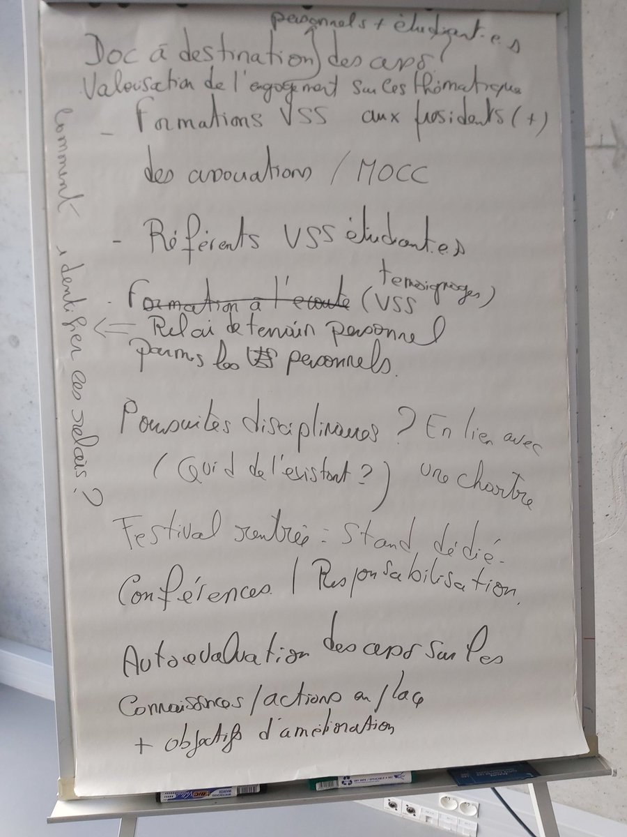 Enquête VSS #VSS a Nantes Universite #NU. Séance de travail collective pour décliner un plan d'actions. Seine émulation et des idées à foison.